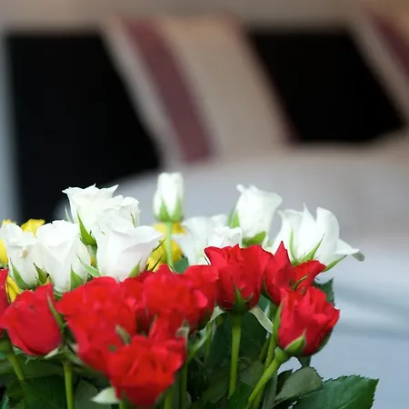 Formula ゲストハウス