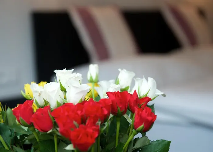 Formula 게스트하우스